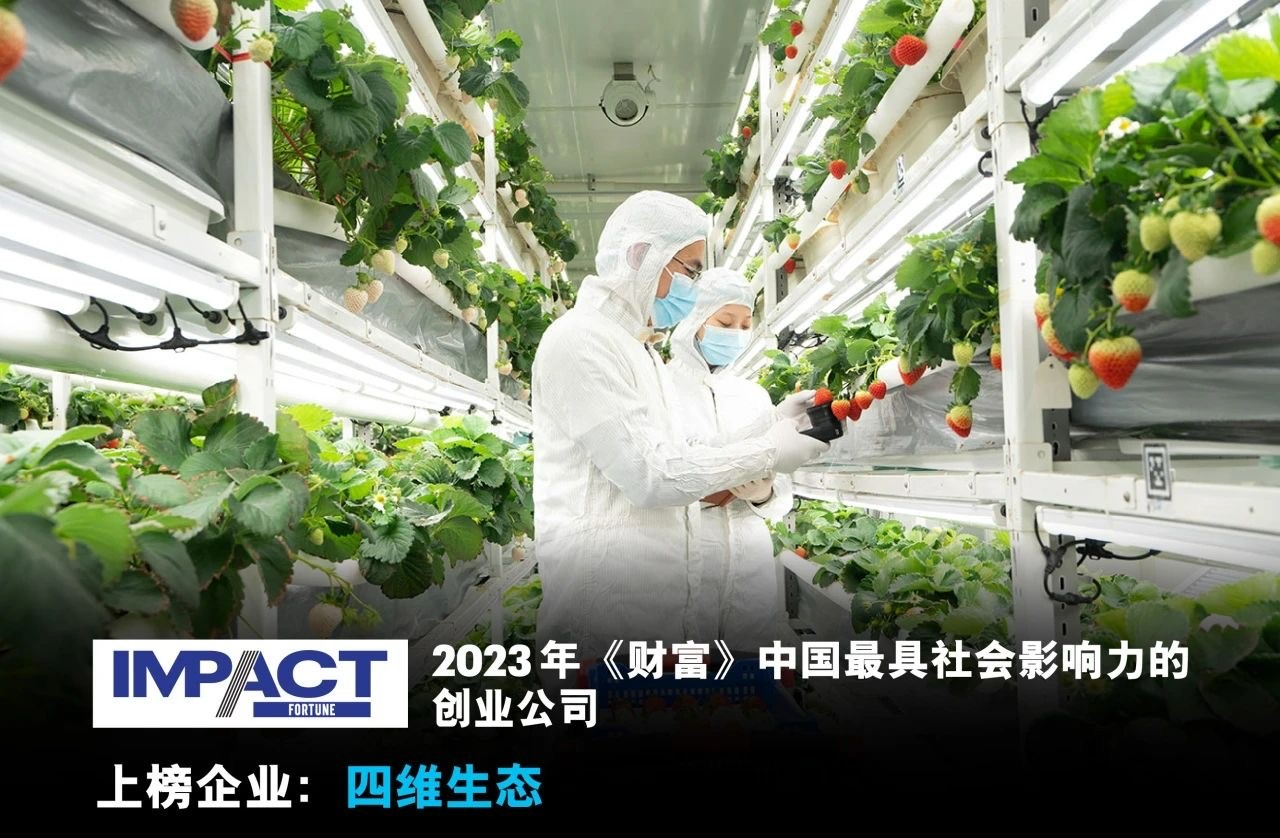 浙江植物工厂技术引发关注，四维生态悄悄跻身全球前列