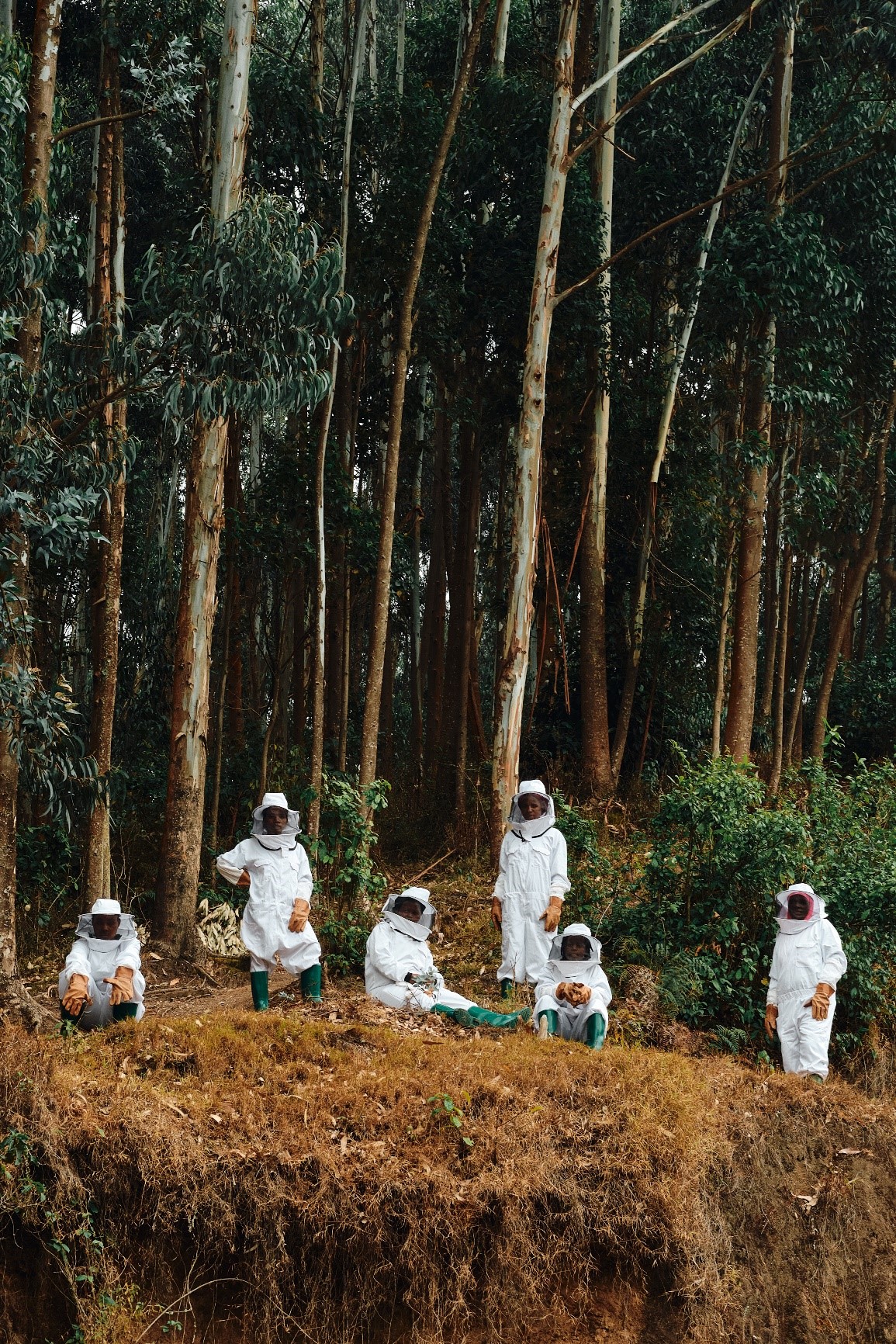 “女性養蜂人” 項目進駐盧旺達  藉助養蜂培訓和科學支持賦權當地女性