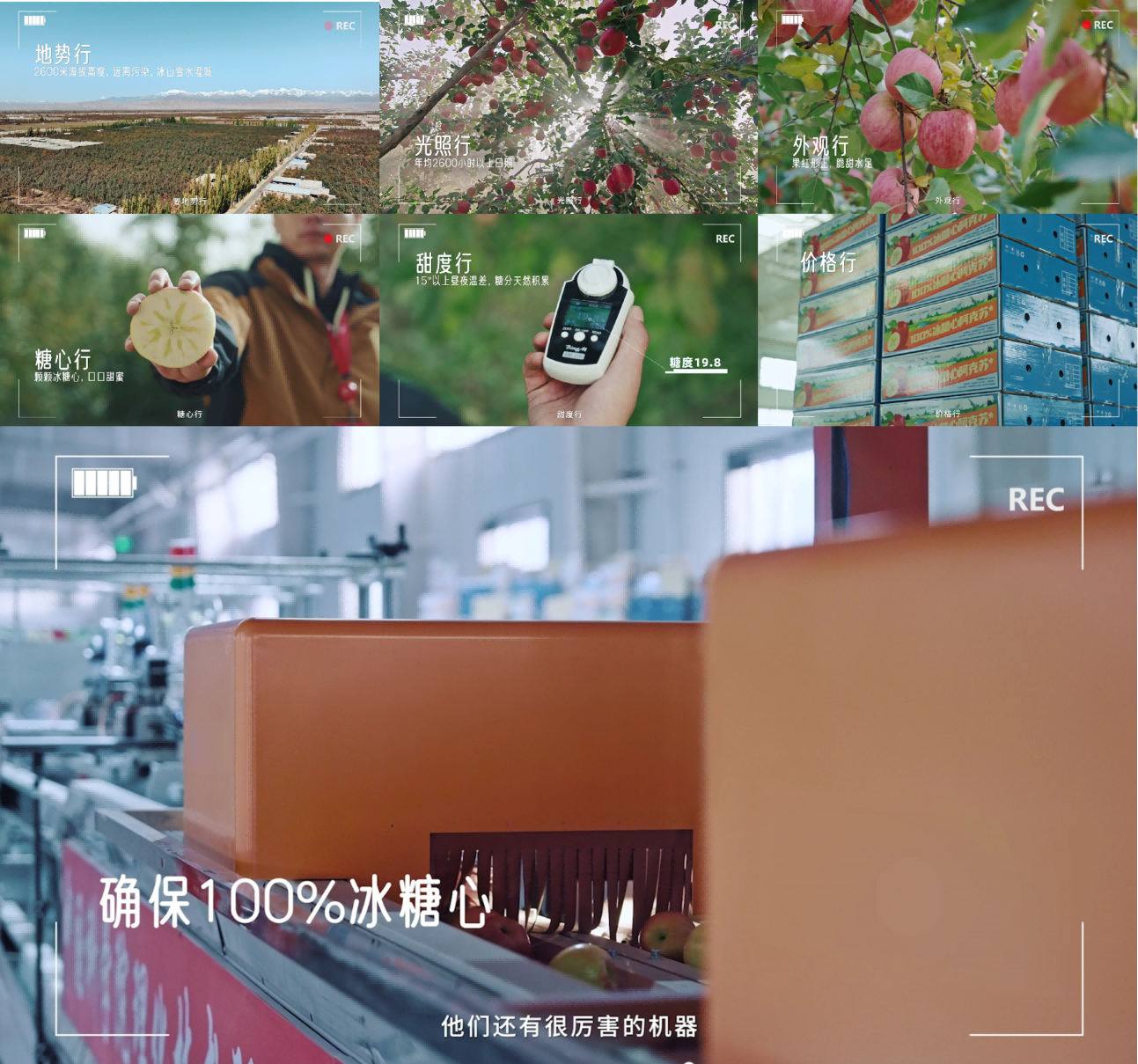 掀起了一场“苹果风暴”？京东超市联手快手泛时尚寻找超会买的人