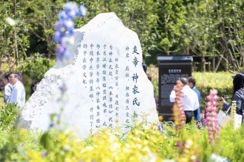 正式启动！华东药用植物园中医药康养论坛暨科研科普中心成立揭牌仪式