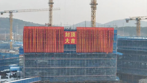 匠心筑造，荣耀封顶！芜湖数字经济产业园建设项目首栋主体结构顺利封顶！