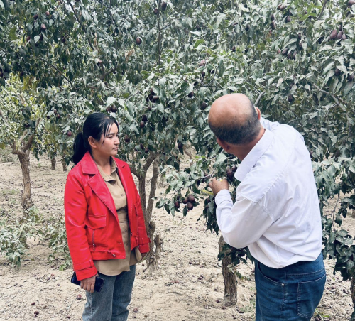 于田县2024年高素质农民培育项目开展跟踪服务