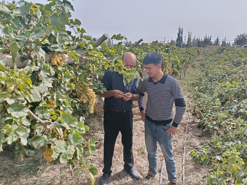 于田县2024年高素质农民培育项目开展跟踪服务