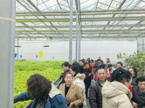 博湖县2024年高素质农民培育培训班赴昌吉州观摩学习