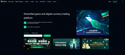 BIKING币王的品牌可持续化战略——合规、生态与用户信任的三维驱动