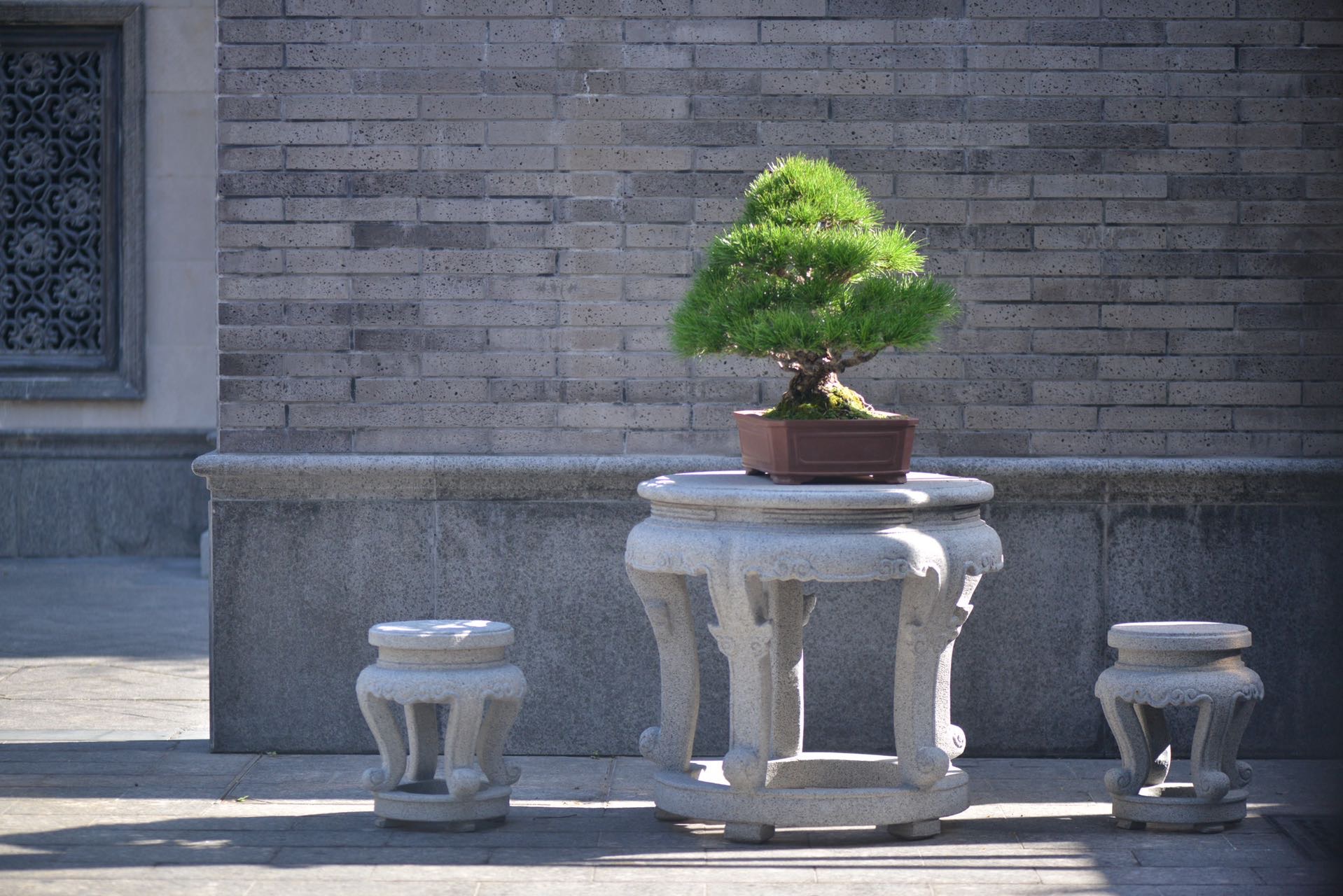 翠薇薇阁艺术馆面试：馆长琚翠薇助力面试者规划职场