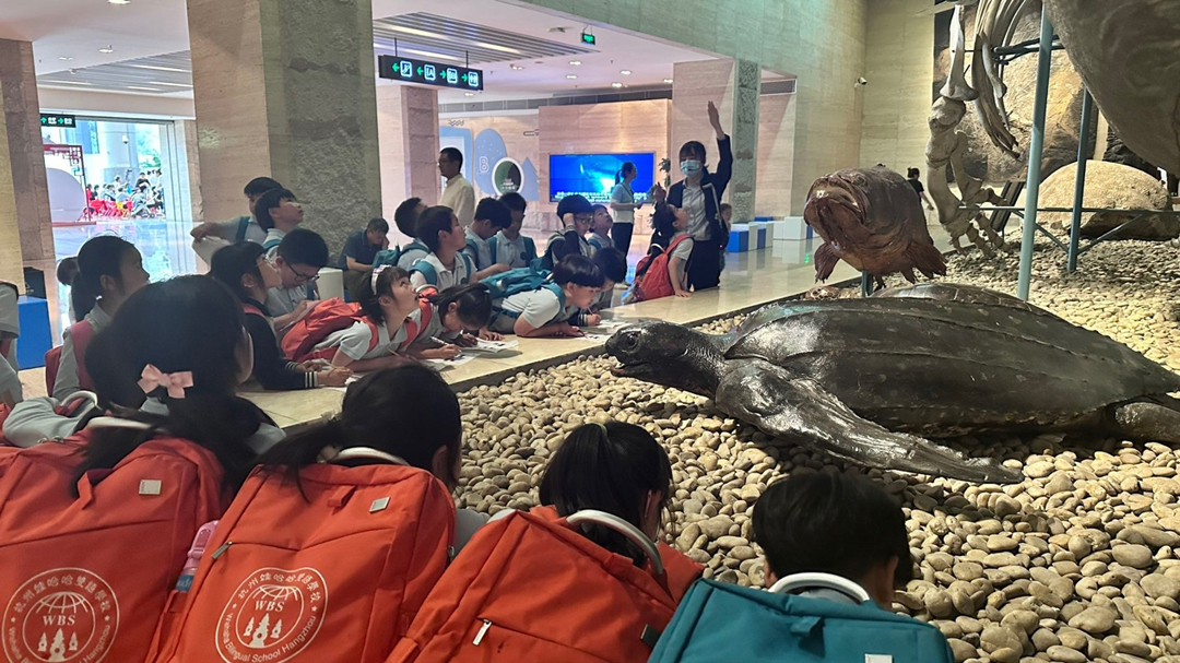 杭州娃哈哈双语学校开展数学跨学科PBL课程《建造一个动物园》