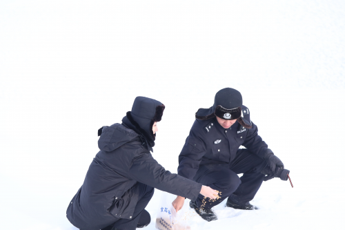 民警布施雪中送炭 鸟儿觅食快乐家园